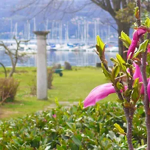 The Gulf - Maggiore Monvalle